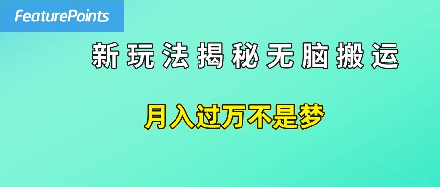 简单操作，每天50美元收入，搬运就是赚钱的秘诀！-星云科技 adyun.org