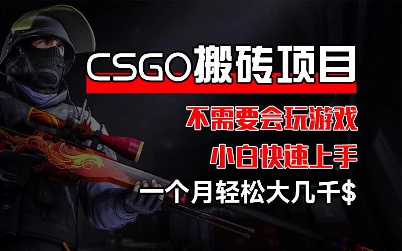 CSGO 装备搬砖项目，操作简单，不需要会玩游戏，小白也能快速上手，一个月轻松大几千-星云科技 adyun.org