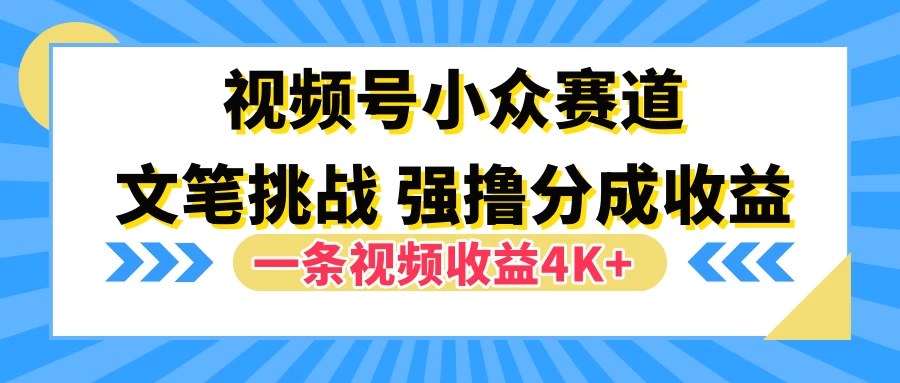 视频号小众赛道，文笔挑战，一条视频收益4K+-星云科技 adyun.org