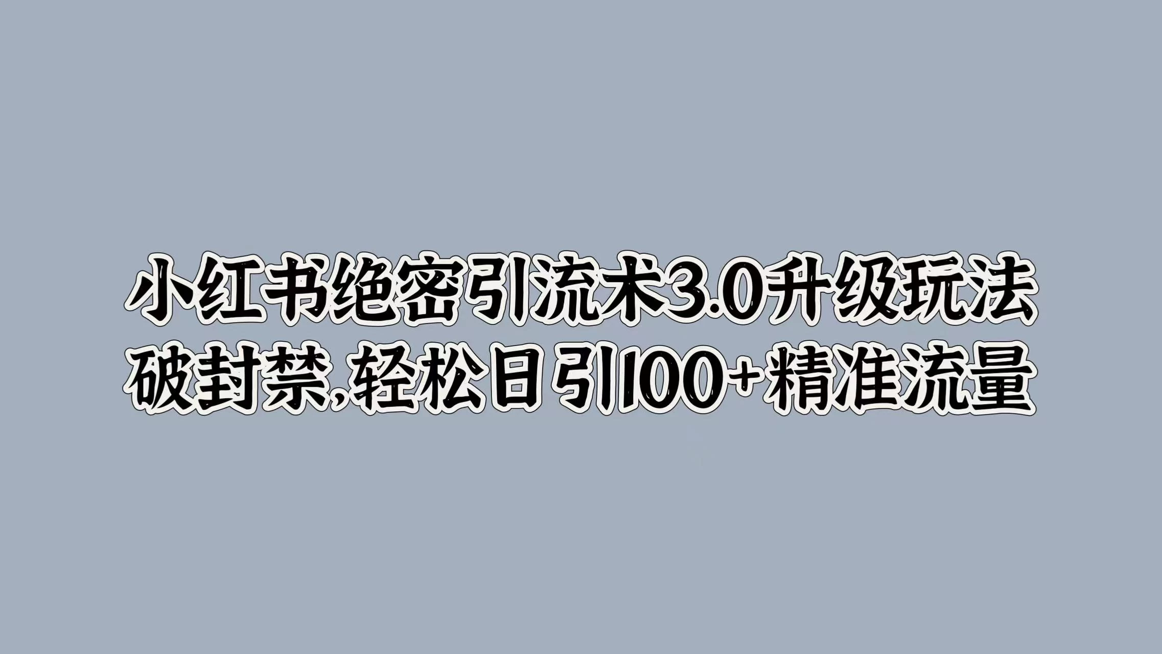 小红书绝密引流术3.0升级玩法，破封禁，轻松日引100+精准流量-星云科技 adyun.org