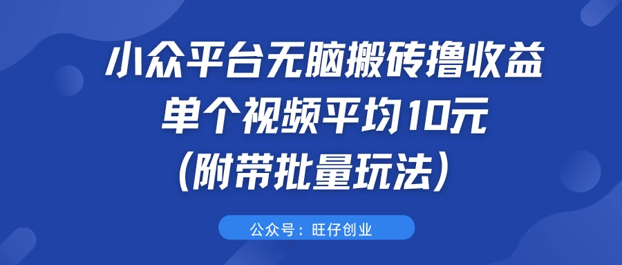 小众平台无脑搬砖撸收益，单个视频平均10元 (附带批量玩法）-星云科技 adyun.org