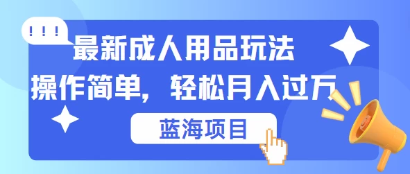 最新成人用品项目玩法，操作简单，蓝海项目轻松月入过万-星云科技 adyun.org