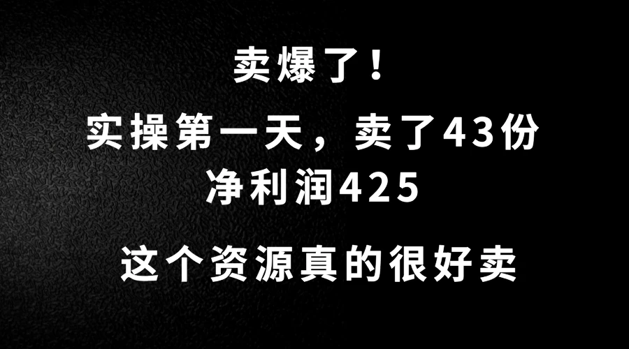 这个资源，需求很大，实操第一天卖了43份，净利润425-星云科技 adyun.org