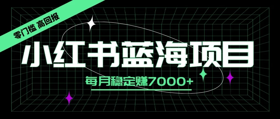 小红书蓝海项目，零门槛、高回报，每月稳定赚7000+-星云科技 adyun.org