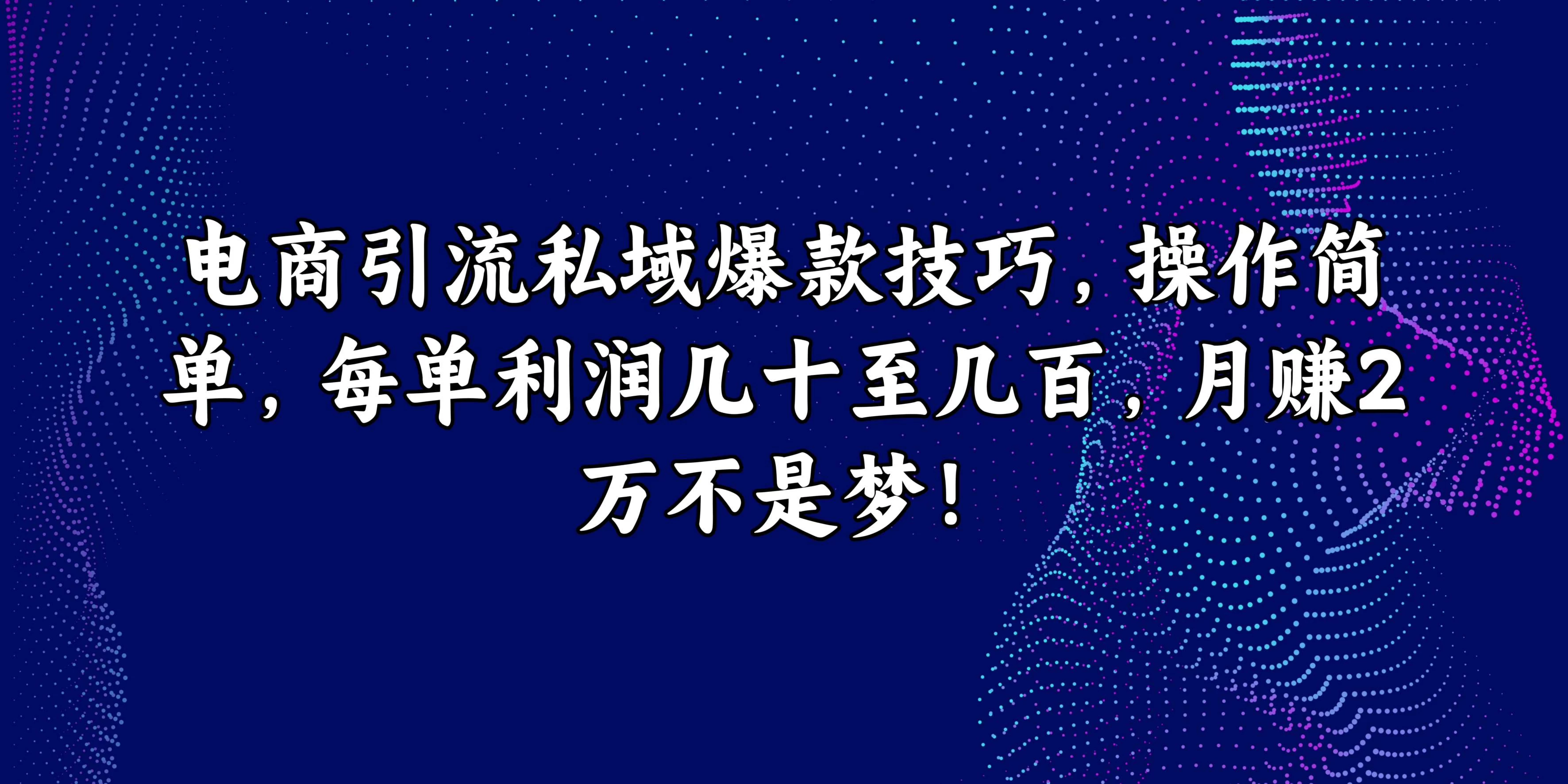 电商引流私域爆款技巧，操作简单，每单利润几十至几百，月赚2万不是梦！-星云科技 adyun.org