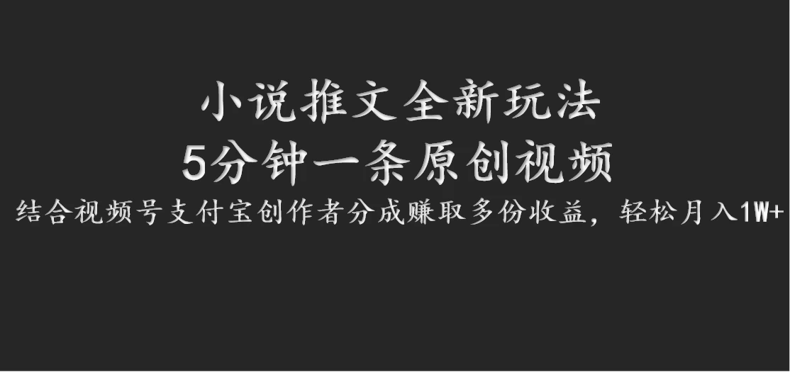 小说推文全新玩法，5分钟一条原创视频，结合视频号支付宝创作者分成赚取多份收益，轻松月入1W+-星云科技 adyun.org