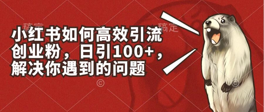 小红书如何高效引流创业粉，日引100+，解决你遇到的问题-星云科技 adyun.org