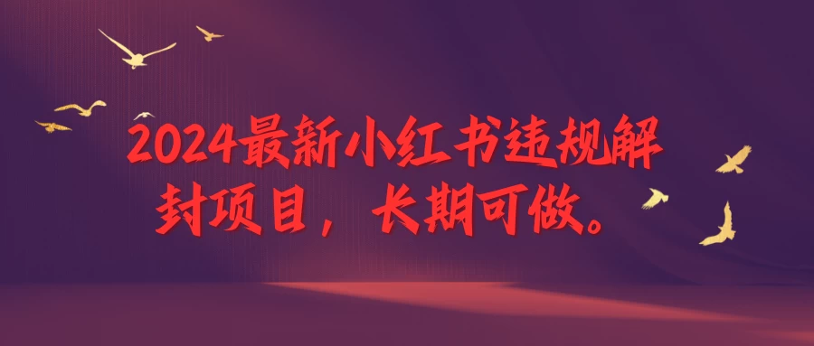 2024最新小红书违规解封项目，一个可以做到退休的项目-星云科技 adyun.org