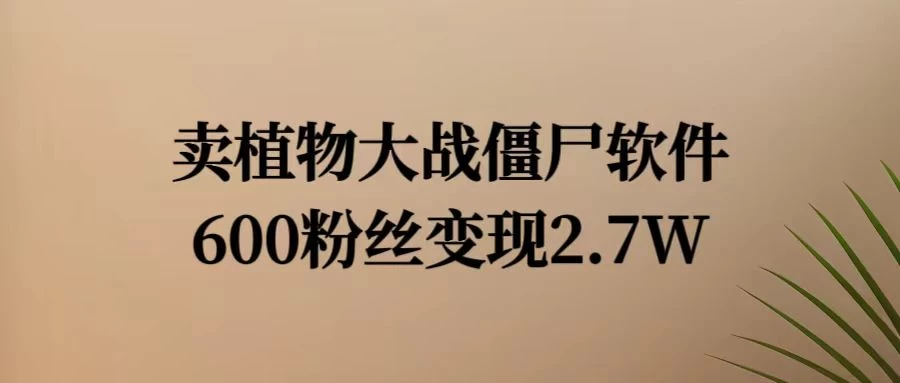 小红书怀旧游戏项目，卖游戏软件，600不到的粉丝变现2.7W-星云科技 adyun.org