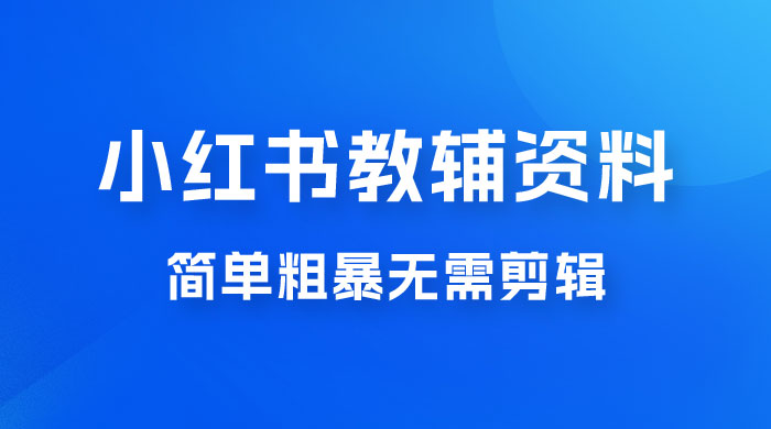 小红书教辅资料掘金，热门蓝海项目，简单粗暴无需剪辑，新手小白也能月入 1W+-星云科技 adyun.org