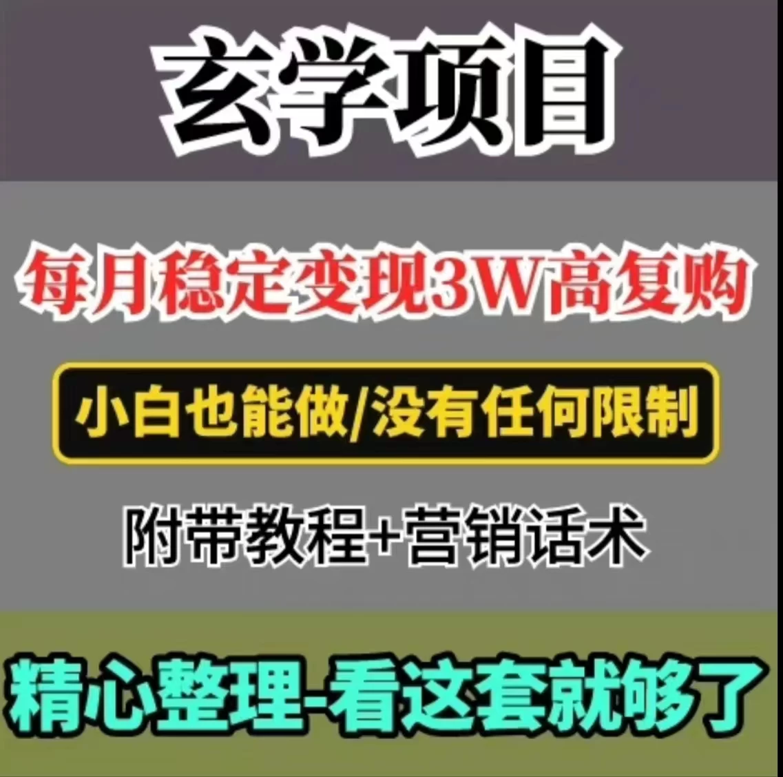 每月稳定变现3W+，高复购玄学项目，小白也能做-星云科技 adyun.org