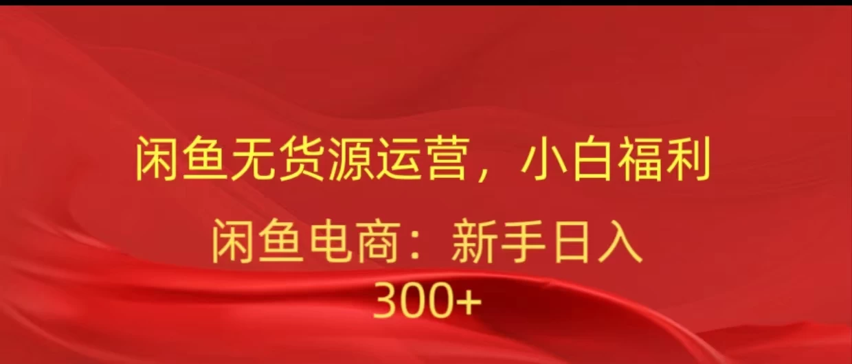 闲鱼无货源运营，小白福利，日入300+，轻松月入过万！-星云科技 adyun.org