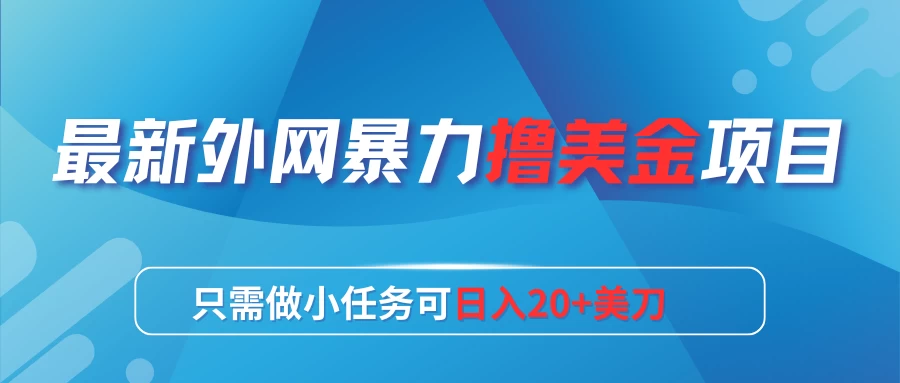 最新外网暴力撸美金项目，只需做小任务可日入20+美刀-星云科技 adyun.org