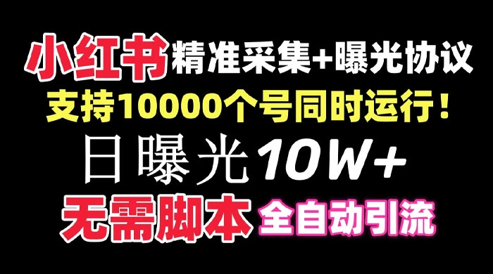 价值 10 万的小红书全自动采集+引流协议一体版！无需手机，支持 10000 个账号同时运行-星云科技 adyun.org