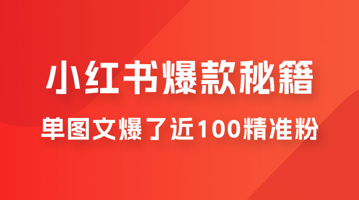 小红书单篇图文连爆秘籍，单图文爆了近 100 精准粉-星云科技 adyun.org