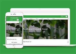 简洁绿色有机水果网站模板下载-星云科技 adyun.org
