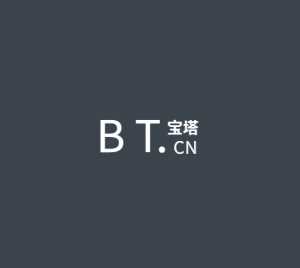 BT面板静态文件镜像库v7.1.1-星云科技 adyun.org