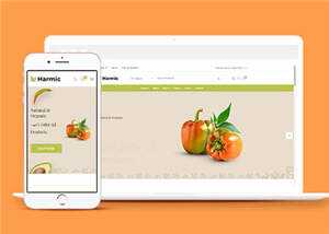 简洁蔬菜水果超市电商网站模板源码下载-星云科技 adyun.org