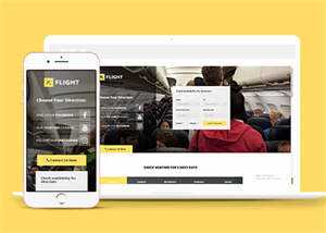 宽屏航空公司机票预订官网模板-星云科技 adyun.org