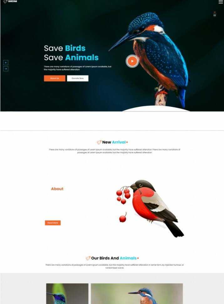 拯救鸟类拯救动物HTML5网站模板-星云科技 adyun.org