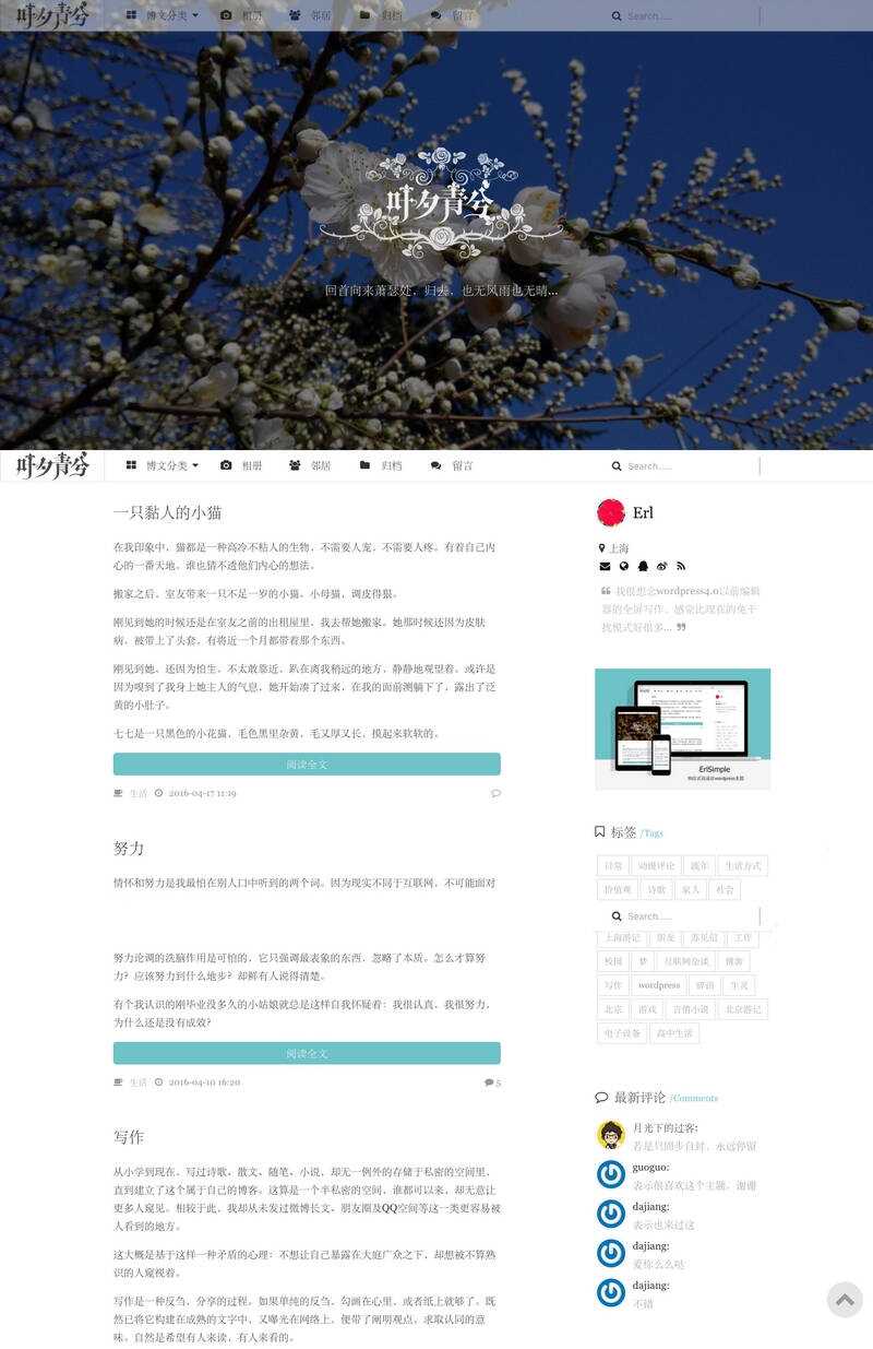 wordpress极简优秀的博客主题–ErlSimpleV1.5主题-星云科技 adyun.org