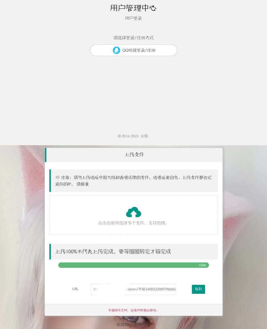 带后台的简洁网盘源码小猫咪网盘V1.3-星云科技 adyun.org