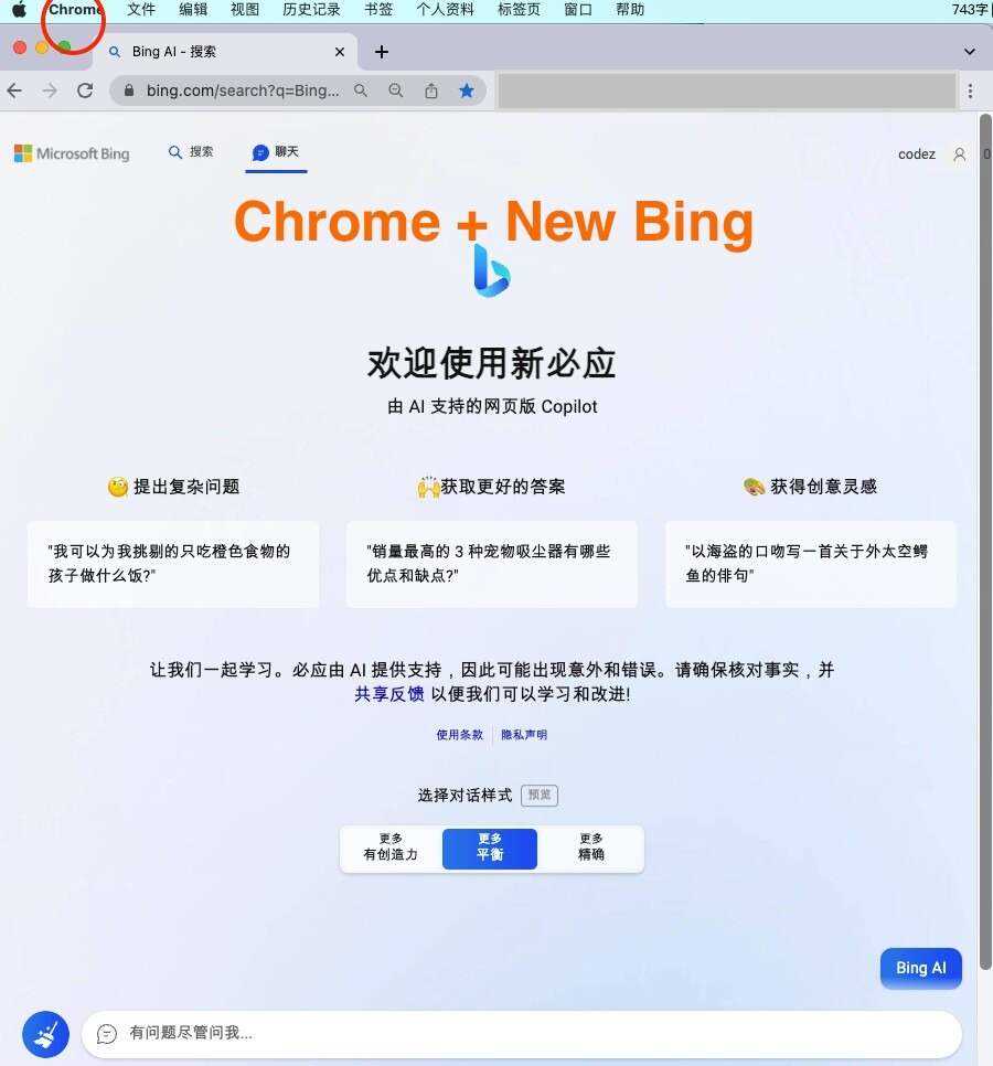 微软New Bing完美聊天机器人源码，支持ChatGPT提示词 国内可用，基本兼容微软 Bing AI 所有功能-星云科技 adyun.org