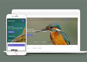 专业鸟类百科HTML网站模板-星云科技 adyun.org