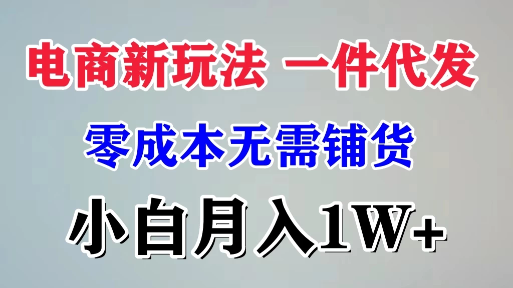 电商新玩法，一件代发，零成本无需铺货，小白月入1W+-星云科技 adyun.org