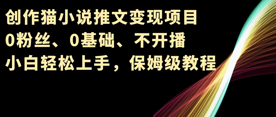 小说推文变现项目，0粉丝、0基础、不开播、小白轻松上手，保姆级教程-星云科技 adyun.org