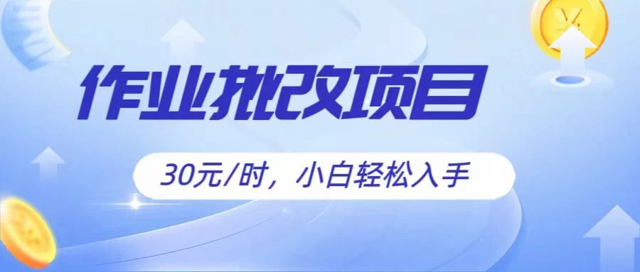 作业批改项目30元/时，小白轻松入手，非常的简单-星云科技 adyun.org