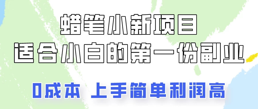 蜡笔小新项目拆解，小白一个月也能多赚3000+-星云科技 adyun.org