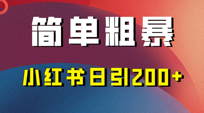 简单粗暴的小红书引流技巧，大道至简，看完实操日引 200+-星云科技 adyun.org