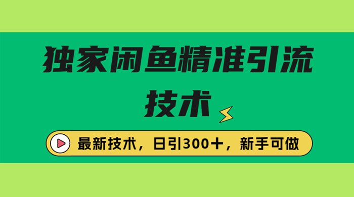 独家闲鱼引流技术，日引 300+ 实战玩法-星云科技 adyun.org