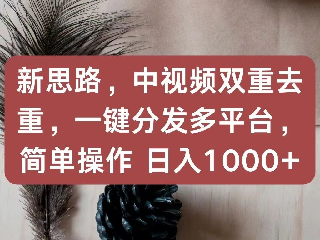 新思路，中视频双重去重，一键分发多平台，简单操作，日入1000+！快来试试吧！-星云科技 adyun.org