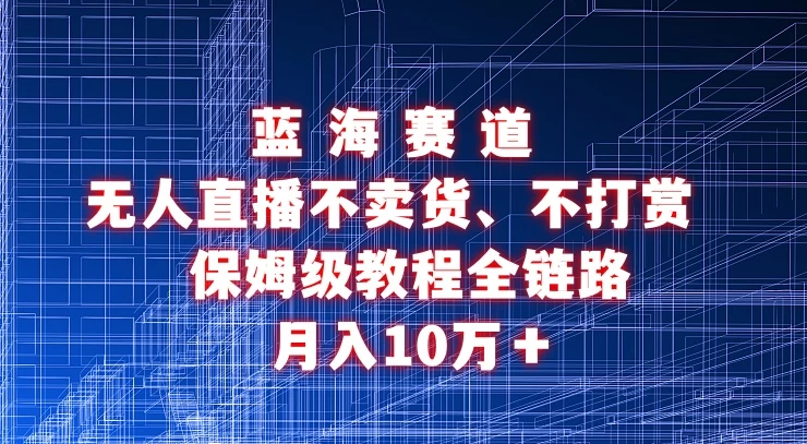 无人直播不卖货、不打赏保姆级教程全链路 月入10万＋-星云科技 adyun.org