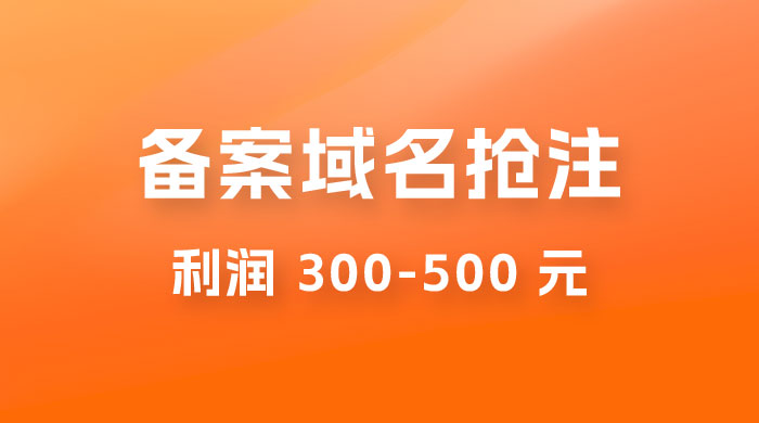 仅揭秘：备案域名抢注，一单利润 300-500 元，需求量大-星云科技 adyun.org