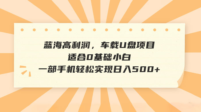 蓝海高利润，车载 U 盘项目，适合 0 基础小白-星云科技 adyun.org