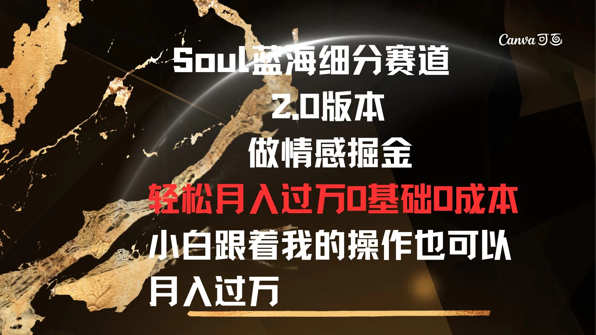 Soul蓝海细分赛道，2.0版本，做情感掘金，轻松月入过万，0基础，0成本，小白跟着我的操作也可以月入过万-星云科技 adyun.org