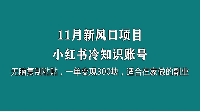 11 月新风口项目，小红书冷知识账号，无脑复制粘贴，一单变现 300 块，适合在家做的副业-星云科技 adyun.org