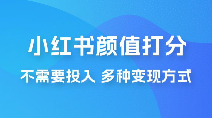 小红书颜值打分新玩法，不需要投入，适合所有人的一份副业，多种变现方式！-星云科技 adyun.org