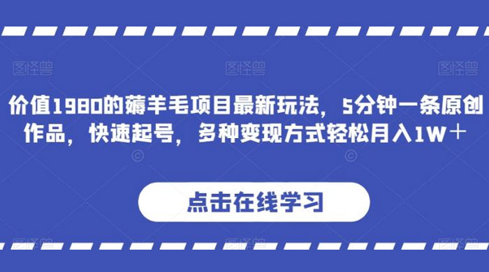 价值 1980 的薅羊毛项目，最新玩法，5 分钟一条原创作品，快速起号，多种变现方式轻松月入 1W+-星云科技 adyun.org