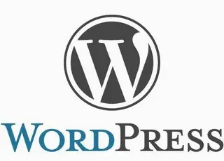 WordPress v6.0.2 中文正式版发布及优化代码-星云科技 adyun.org