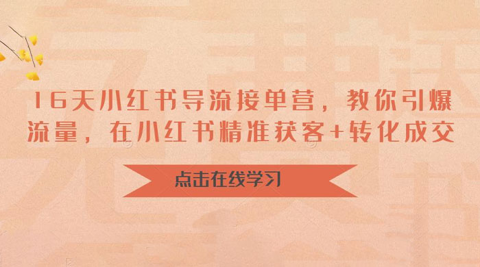 16 天小红书导流接单营：教你引爆流量，在小红书精准获客+转化成交-星云科技 adyun.org