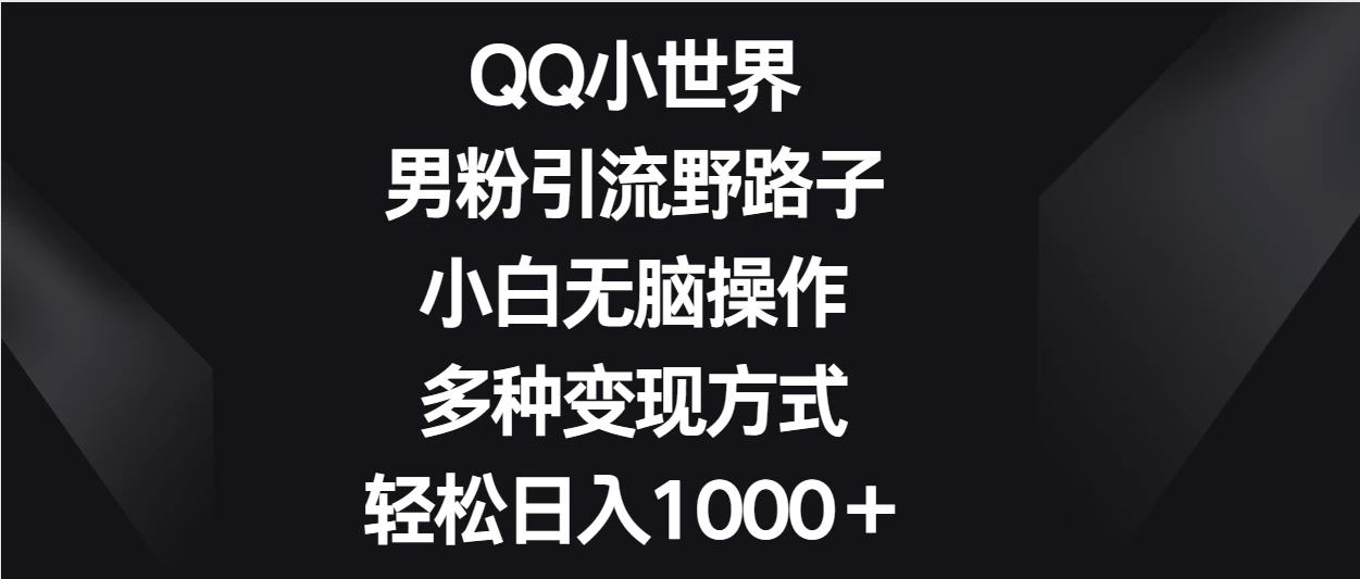 QQ小世界男粉引流野路子，小白无脑操作，多种变现方式轻松日入1000＋-星云科技 adyun.org