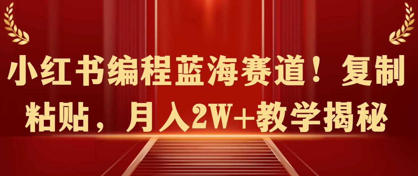 小红书编程蓝海赛道！复制粘贴，月入2W+教学揭秘-星云科技 adyun.org