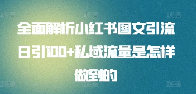 全面解析小红书图文引流日引100私域流量是怎样做到的-星云科技 adyun.org