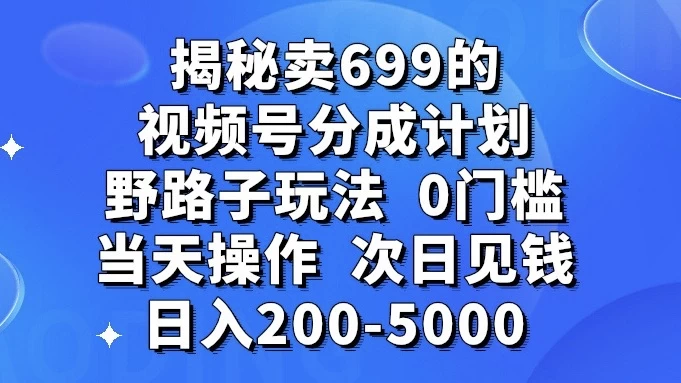 揭秘卖 699 的视频号分成计划野路子玩法，日入 200-5000，0 门槛，当天操作，次日见钱-星云科技 adyun.org