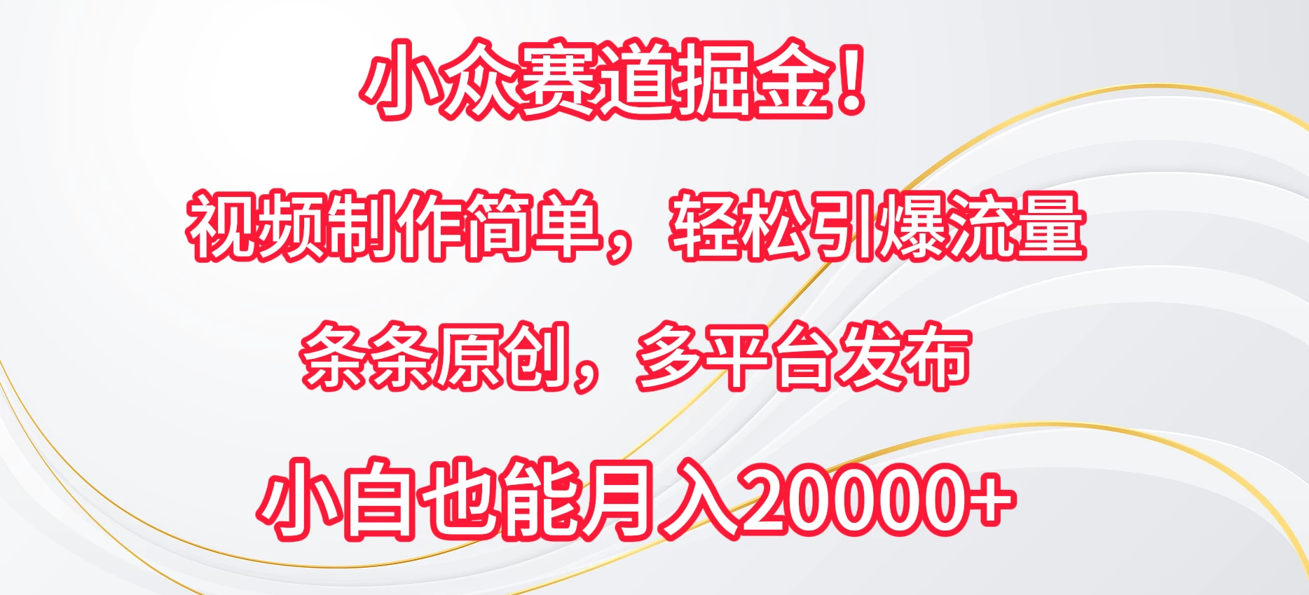 小众赛道掘金！视频制作简单，轻松引爆流量，条条原创，多平台发布，小白也能月入20000+-星云科技 adyun.org