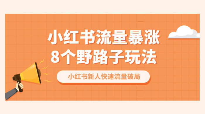 小红书流量暴涨 8 个野路子玩法：小红书新人快速流量破局（ 8 节课）-星云科技 adyun.org